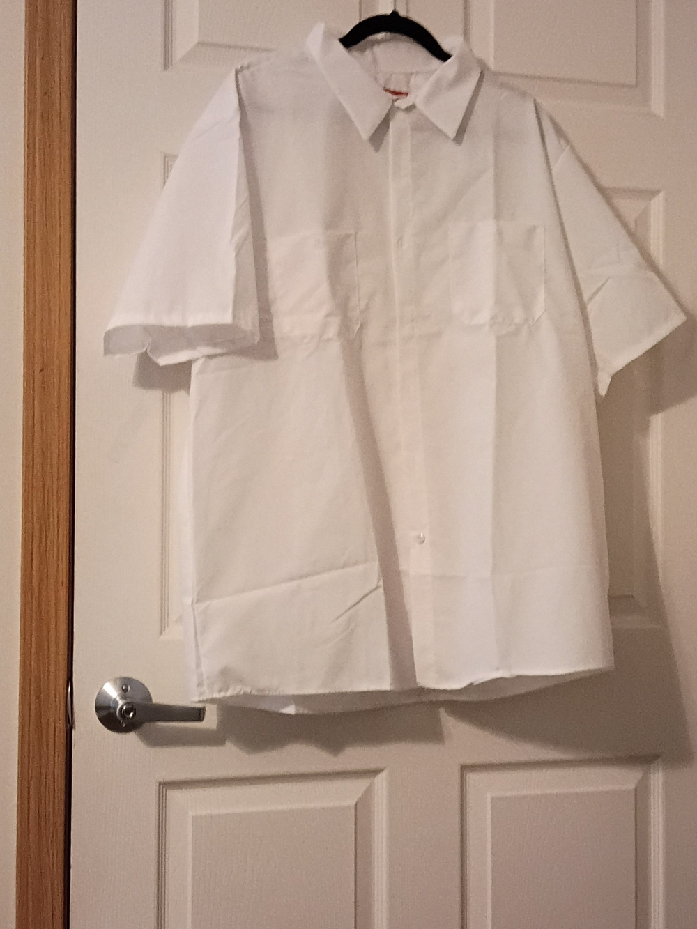 Men's Short-Sleeve Button-Down Shirt - White